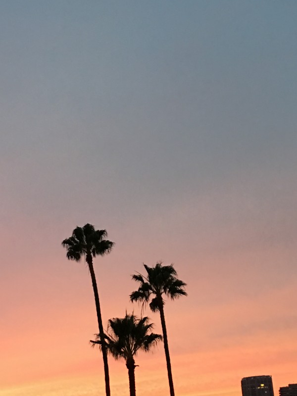 Design & development