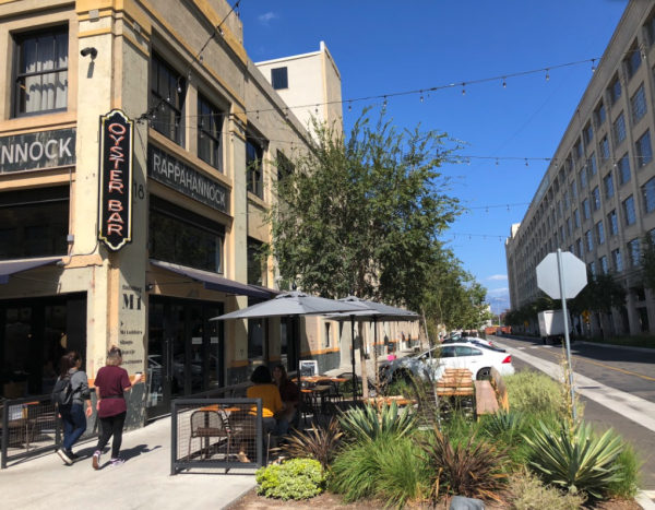 Design & development